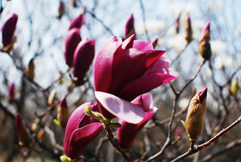 1522219988154613p435.jpg DSC_0068.jpg