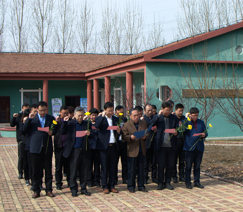 1554360392899063pCE4.jpg DSC_0080.jpg