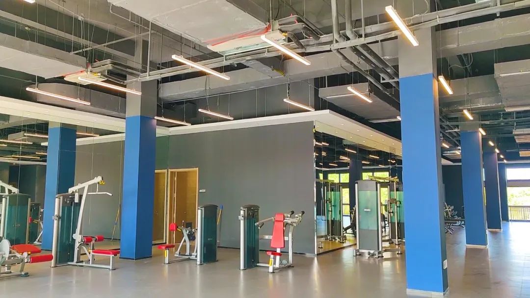 1666584054841529p4A2.jpg 5.jpg