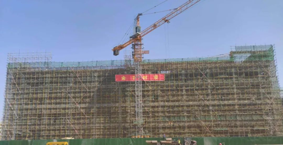 1685930506535315pB8C.jpg 1.jpg